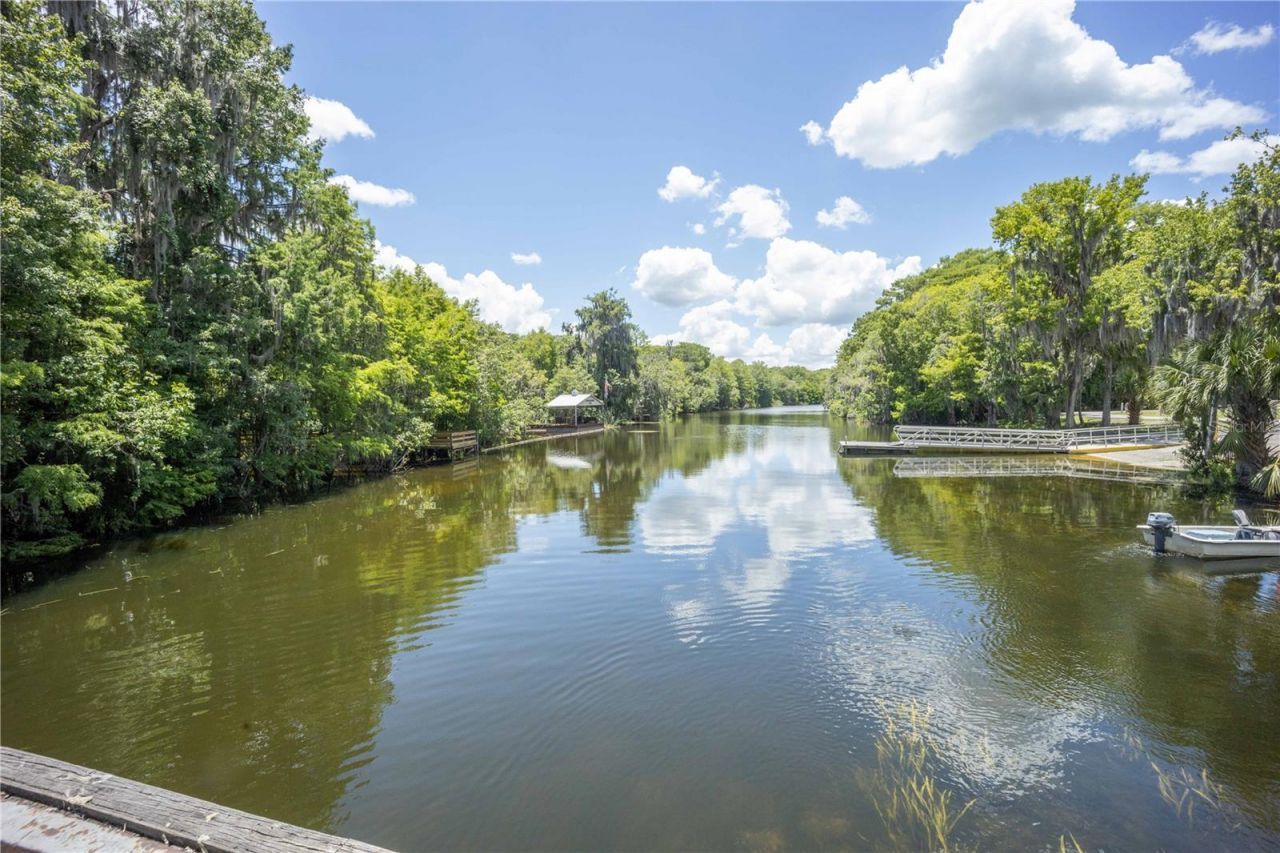 2886 N C 470, Lake Panasoffkee, FL 33538 Photo