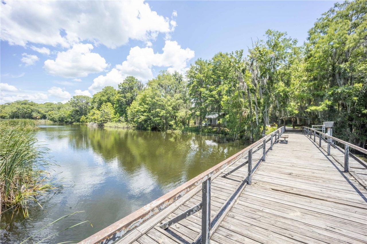 2886 N C 470, Lake Panasoffkee, FL 33538 Photo