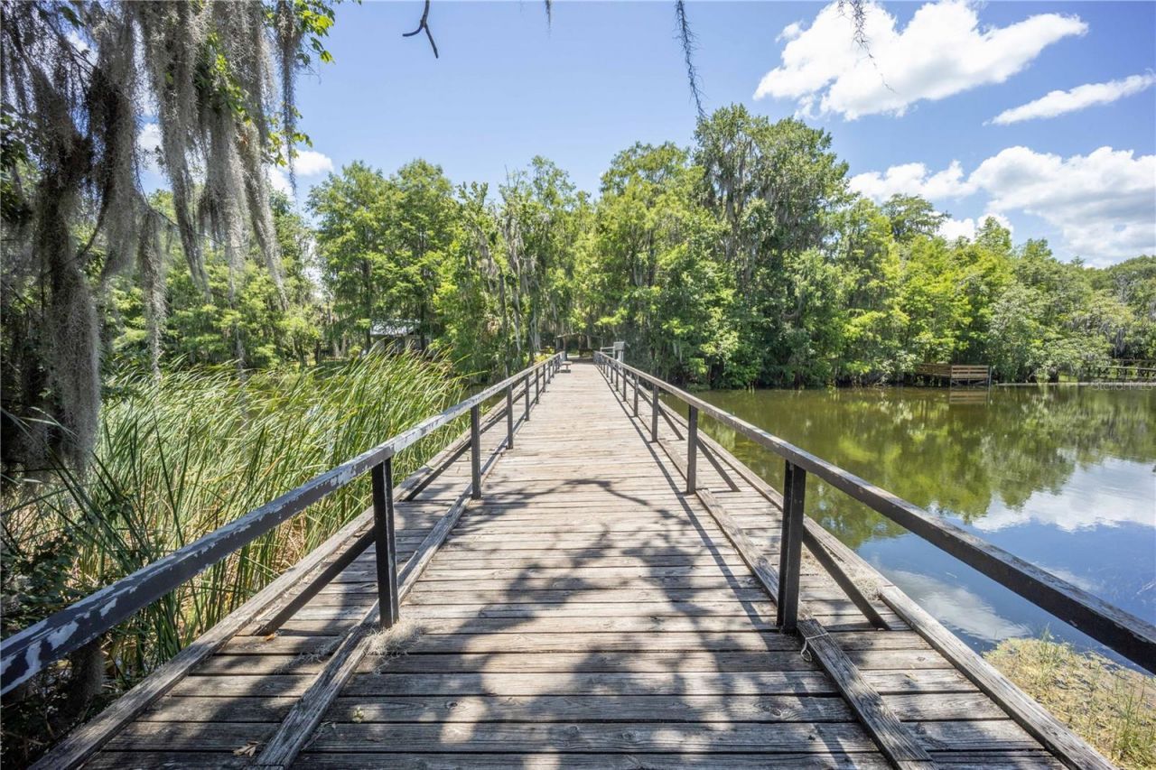 2886 N C 470, Lake Panasoffkee, FL 33538 Photo