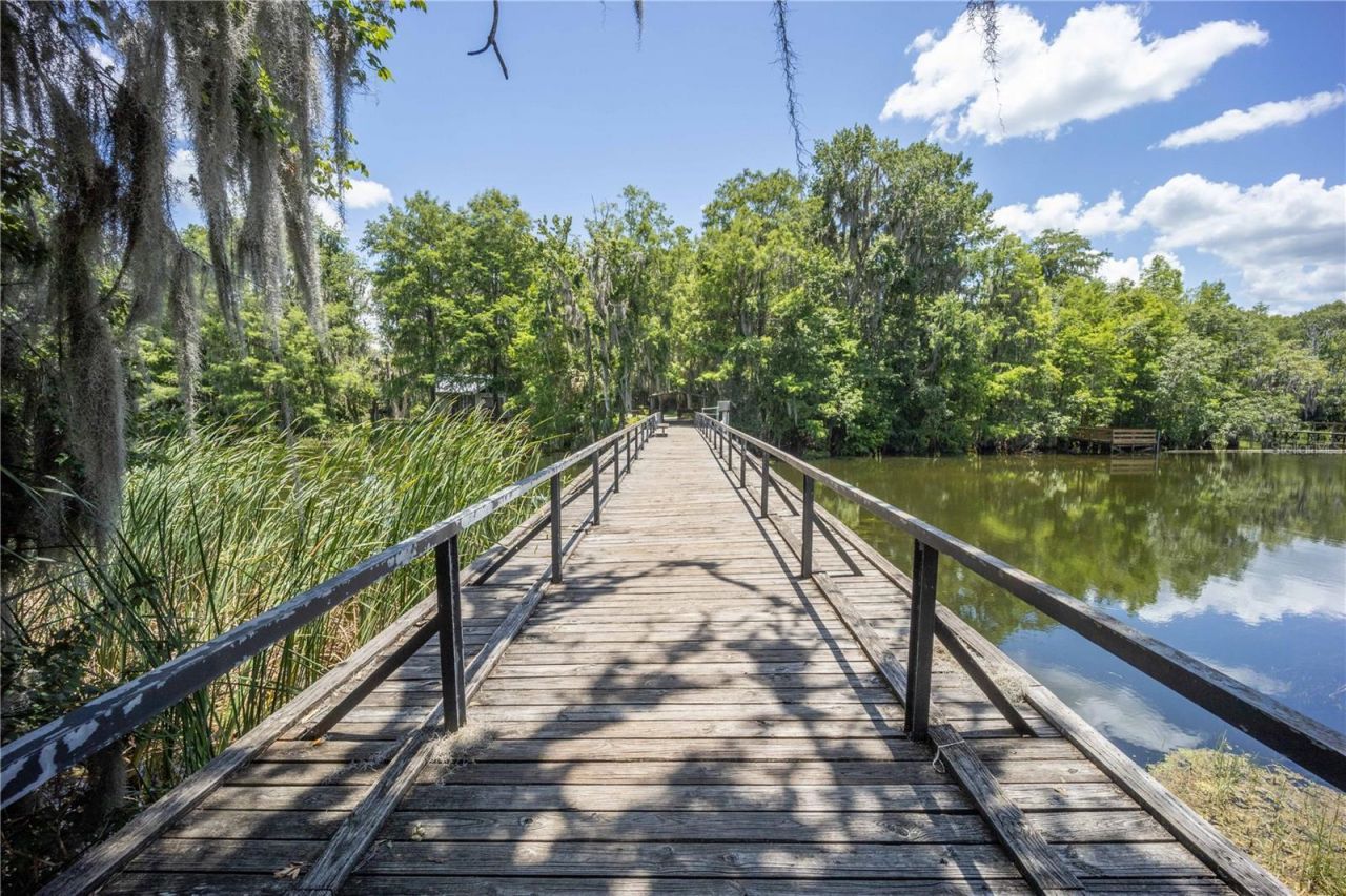 2886 N C 470, Lake Panasoffkee, FL 33538 Photo