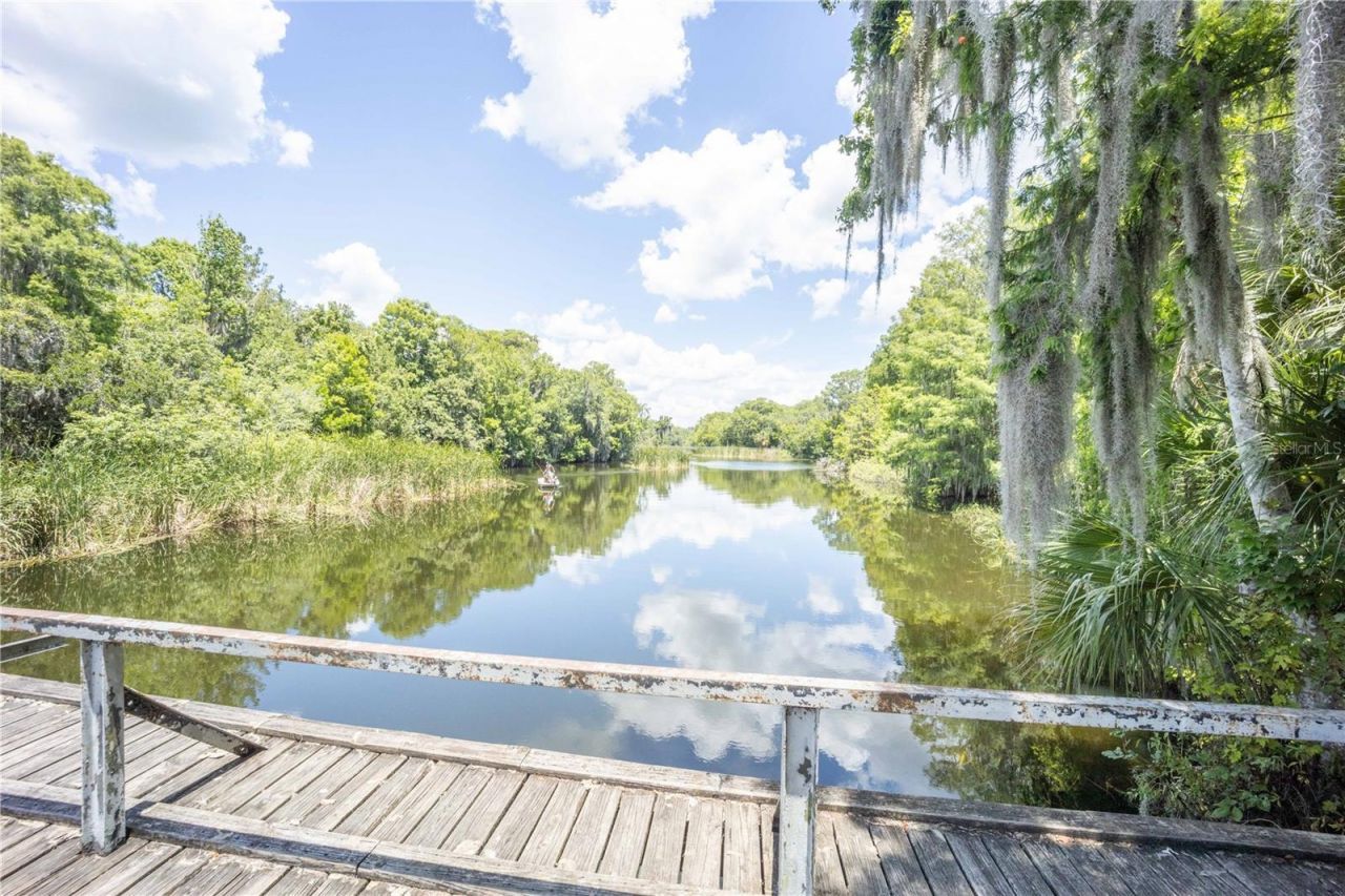 2886 N C 470, Lake Panasoffkee, FL 33538 Photo