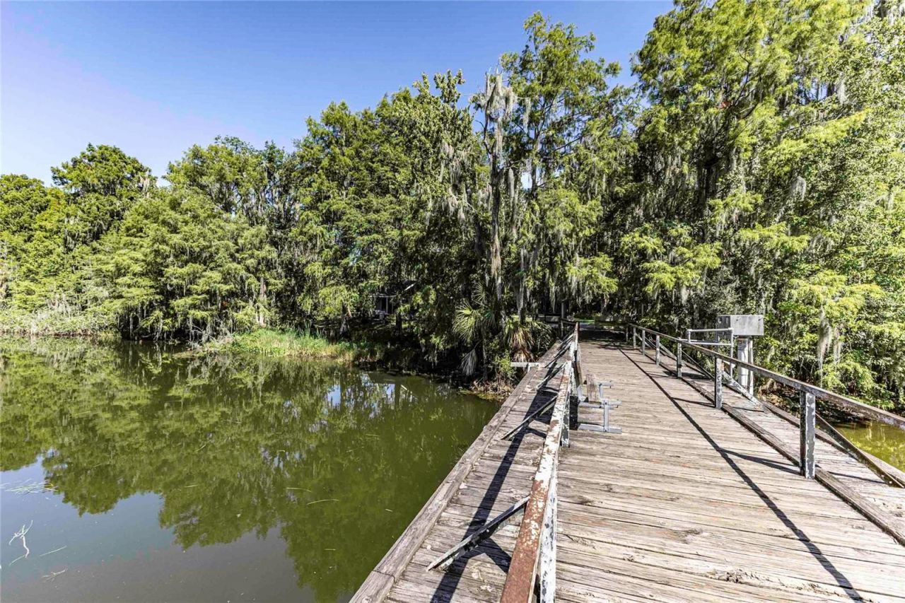 2886 N C 470, Lake Panasoffkee, FL 33538 Photo