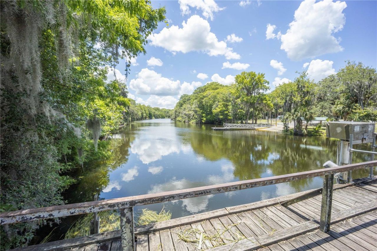 2886 N C 470, Lake Panasoffkee, FL 33538 Photo