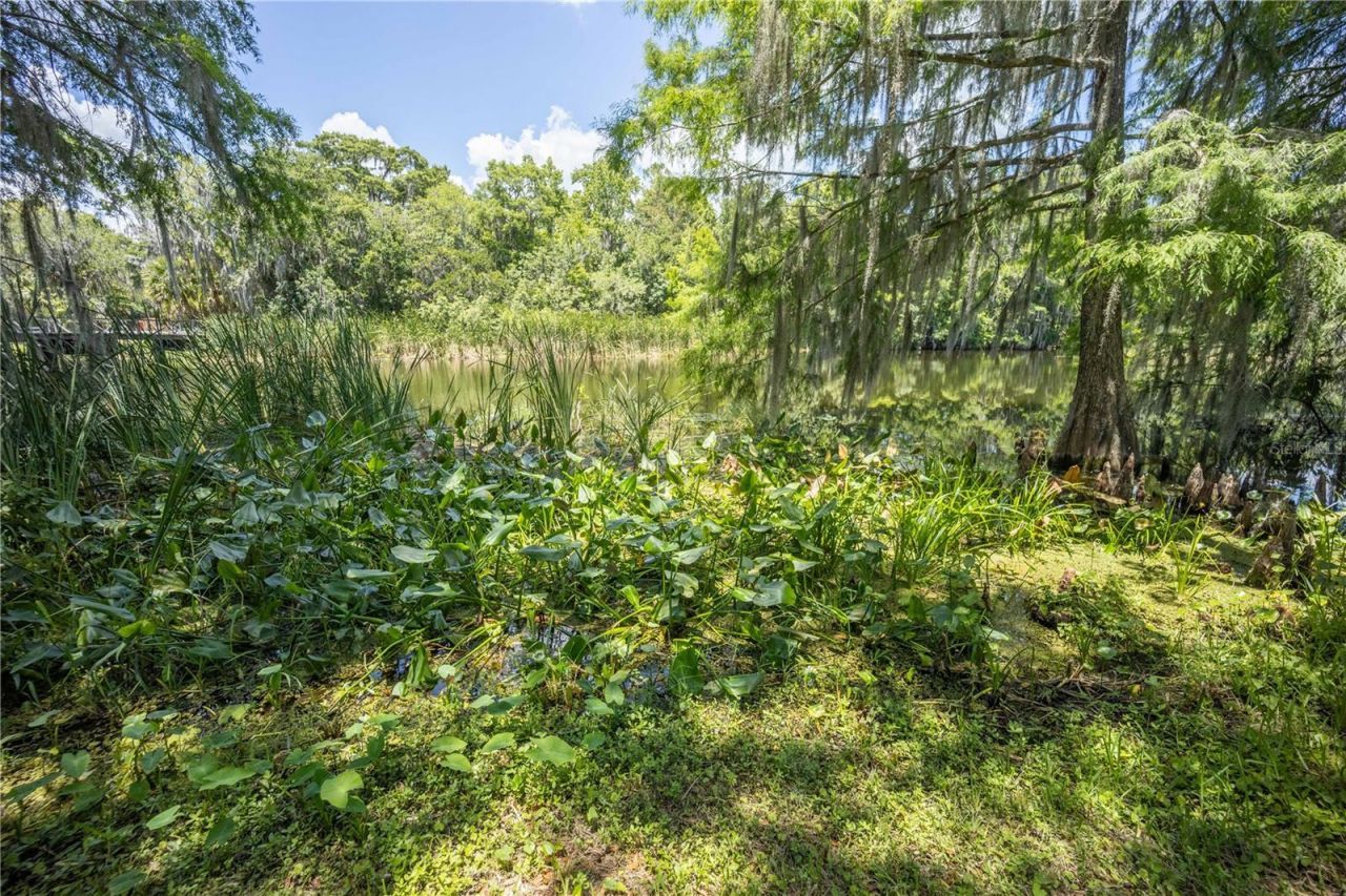 2886 N C 470, Lake Panasoffkee, FL 33538 Photo