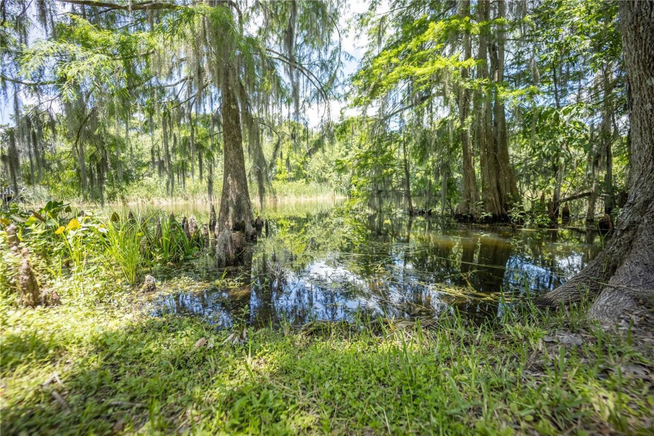 2886 N C 470, Lake Panasoffkee, FL 33538 Photo