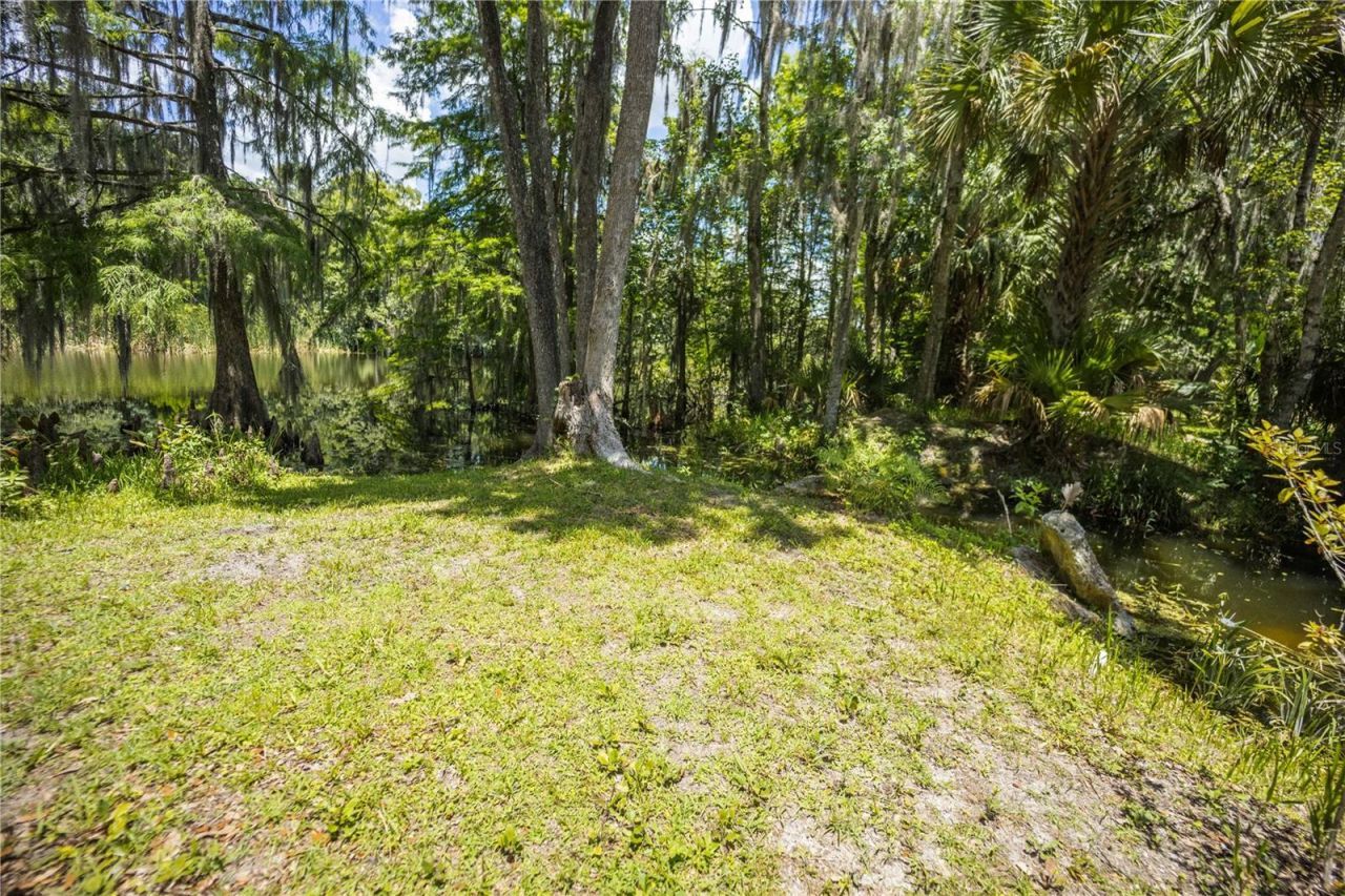 2886 N C 470, Lake Panasoffkee, FL 33538 Photo