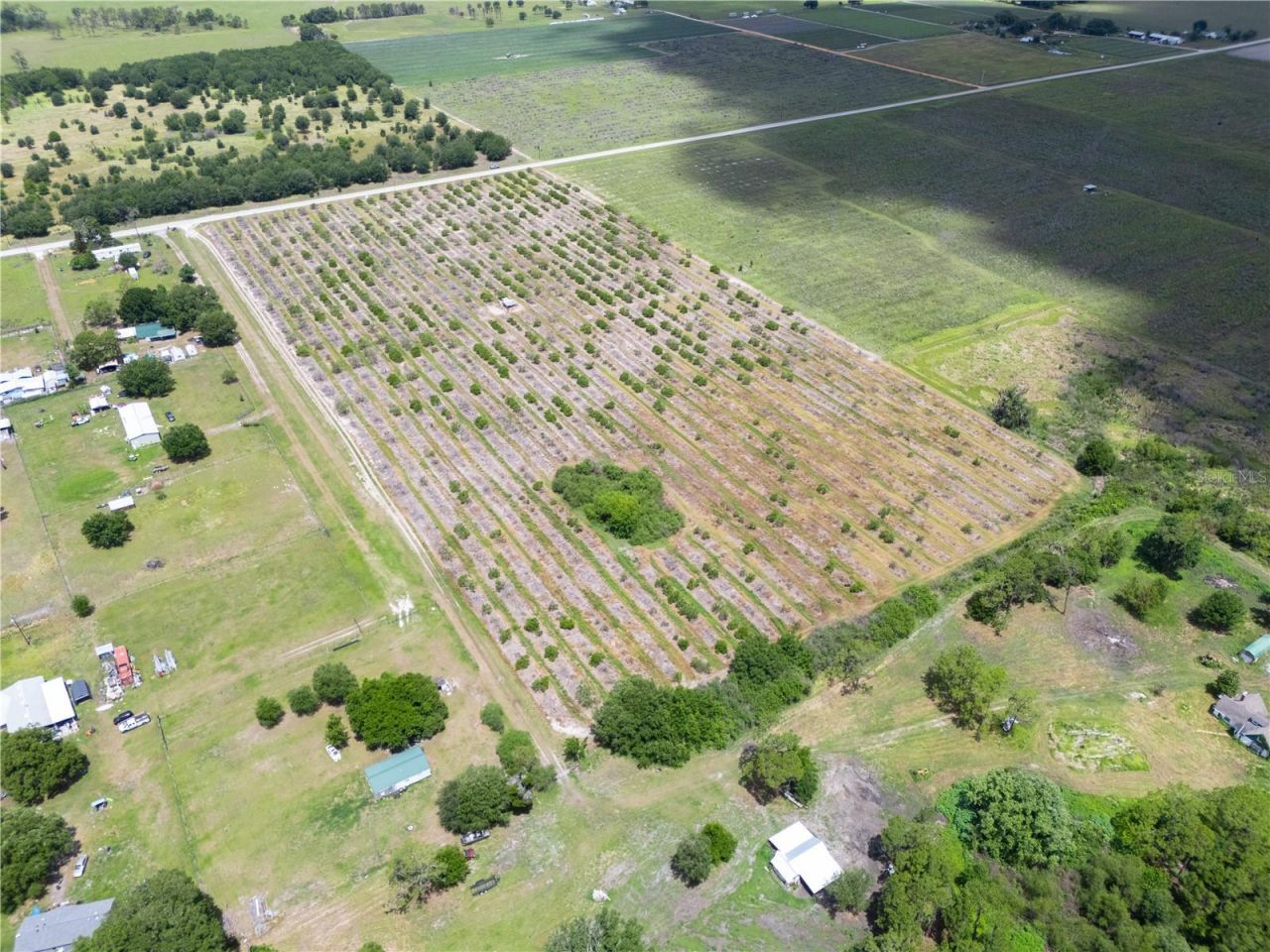 Lake Buffum Road W, Fort Meade, FL 33841 Photo