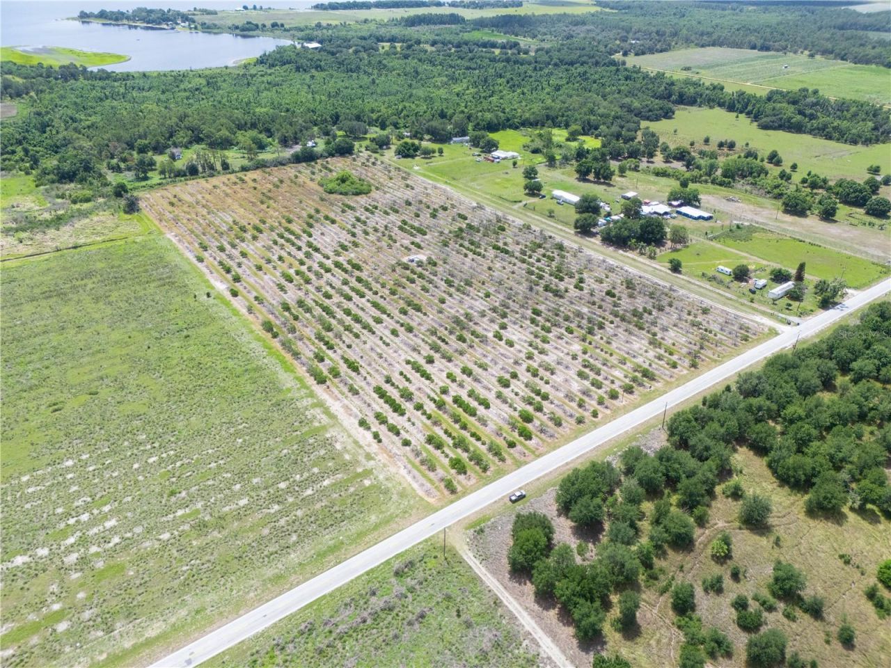 Lake Buffum Road W, Fort Meade, FL 33841 Photo
