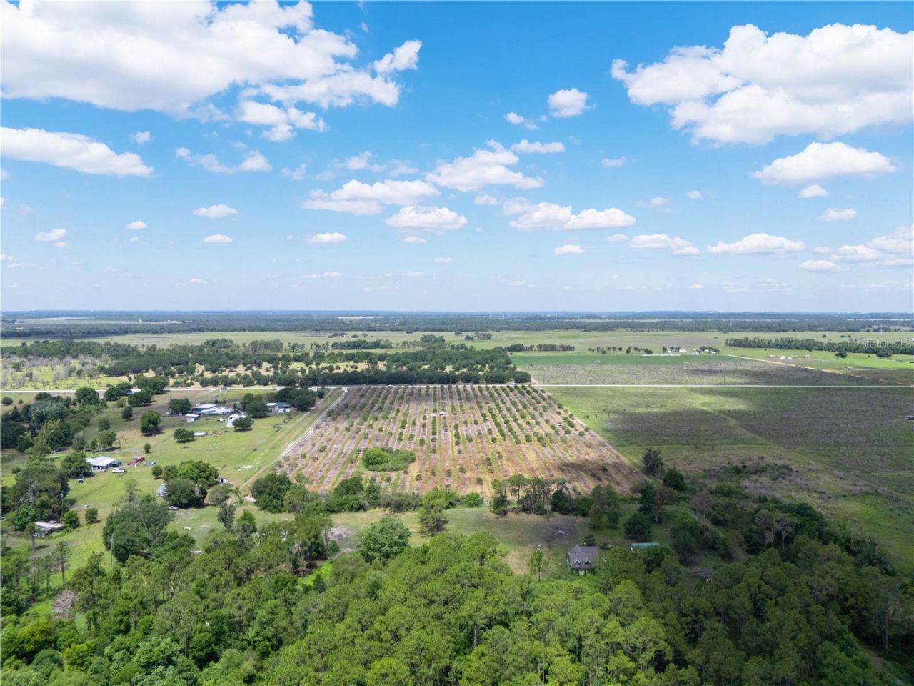 Lake Buffum Road W, Fort Meade, FL 33841 Photo