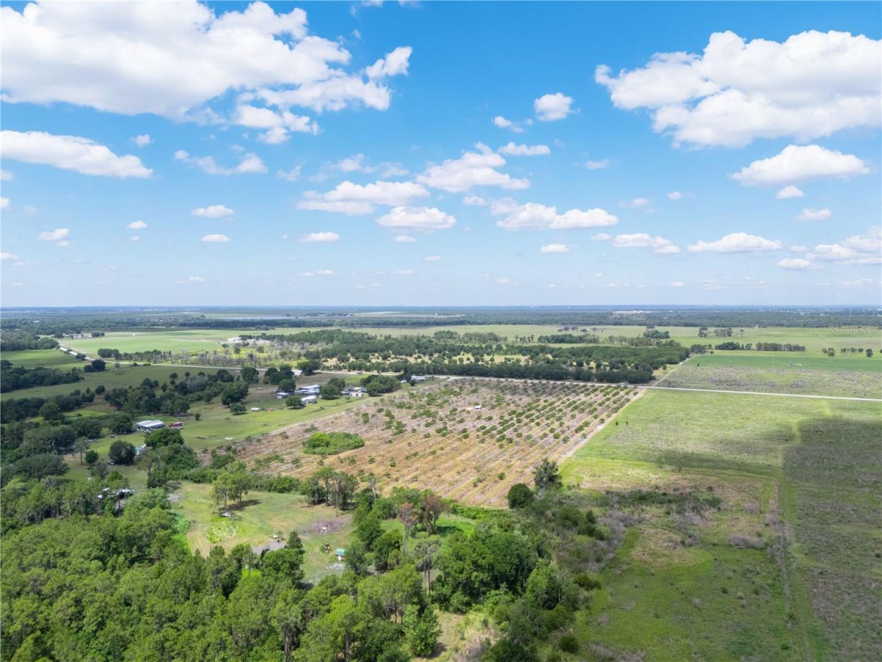 Lake Buffum Road W, Fort Meade, FL 33841 Photo