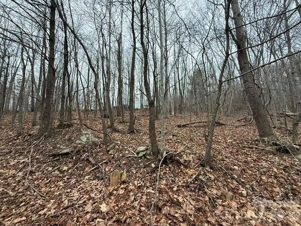 0 Cove Gap Road , Moravian Falls, NC 28654