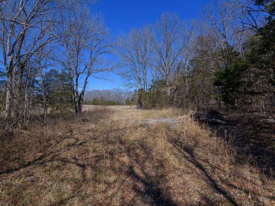 Property Image 76