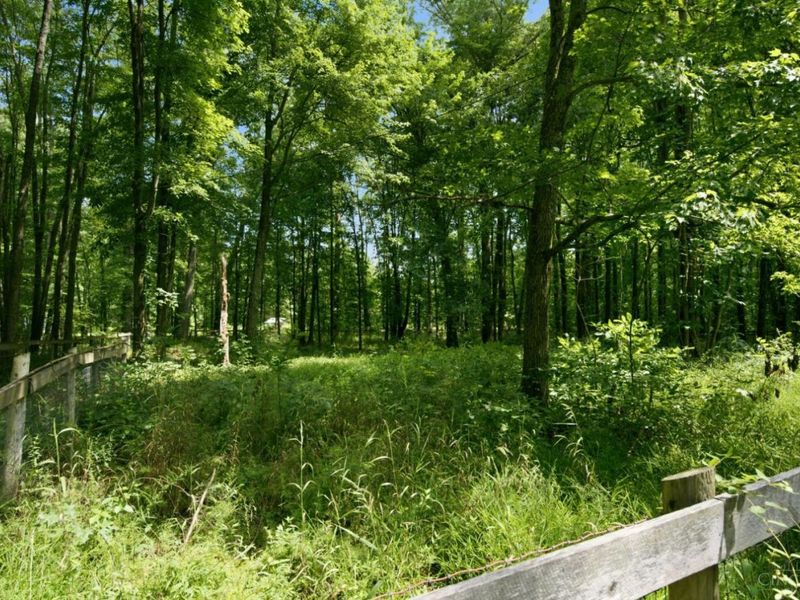 2885 Lindale Mt Holly Road, Monroe Township, OH 45102 Photo 66
