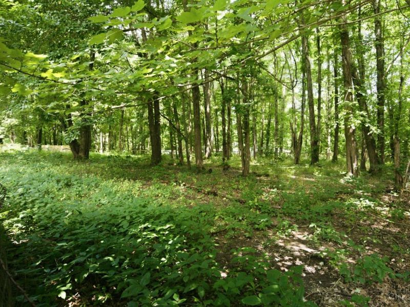 2885 Lindale Mt Holly Road, Monroe Township, OH 45102 Photo 67