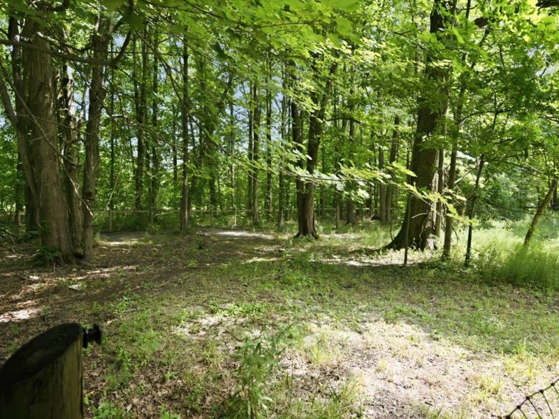 2885 Lindale Mt Holly Road, Monroe Township, OH 45102 Photo 68