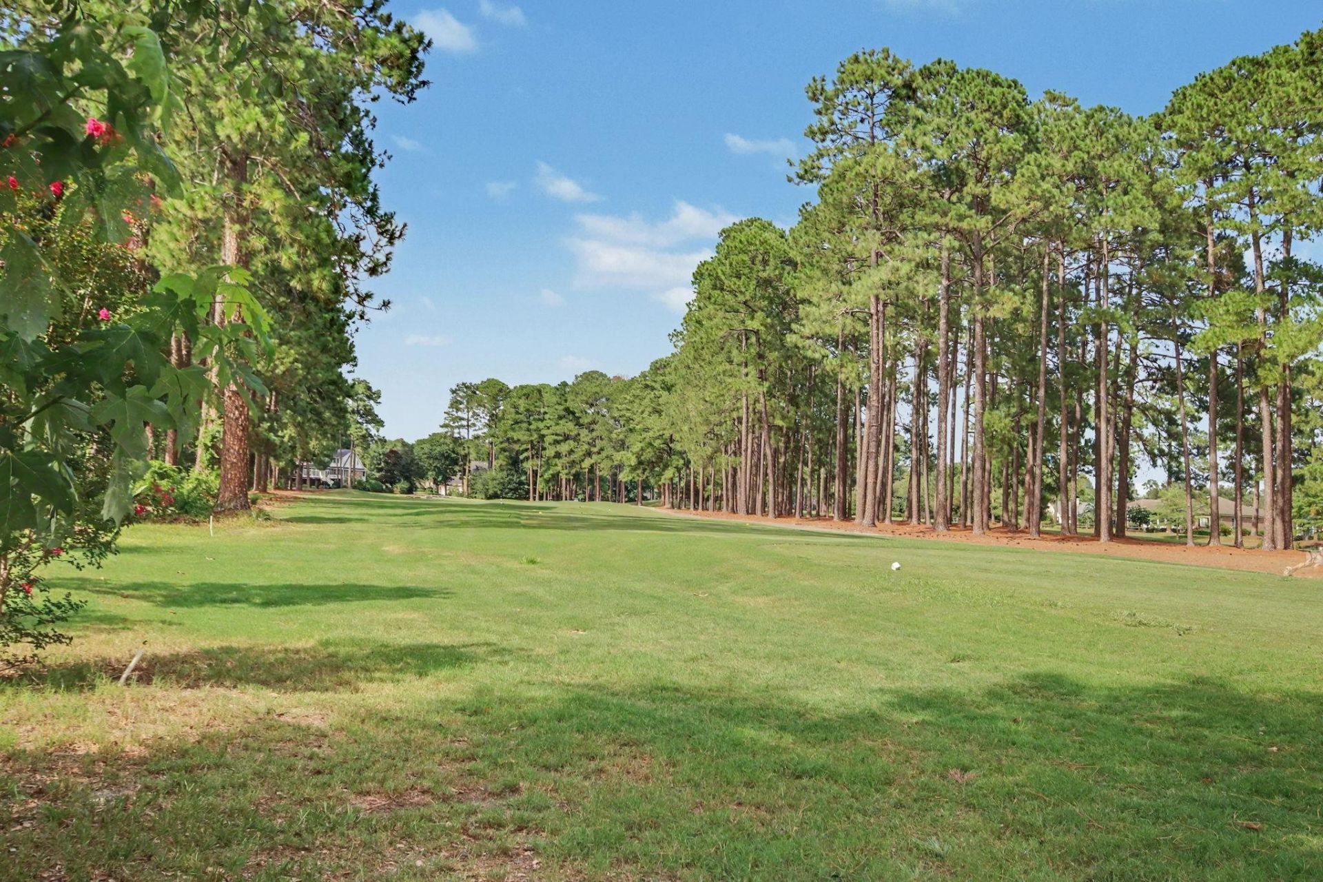 4724 Southern Trail  Photo 51