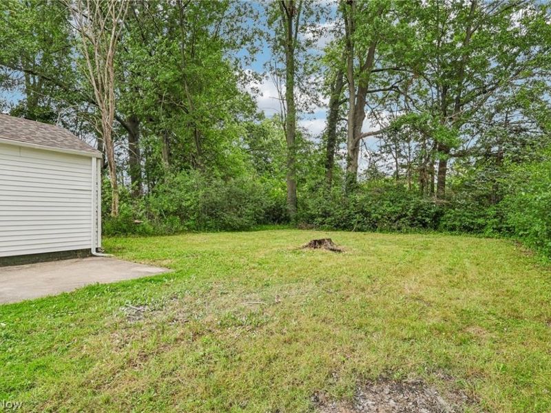 1562 Denison Avenue NW, Warren, OH 44485 Photo 29