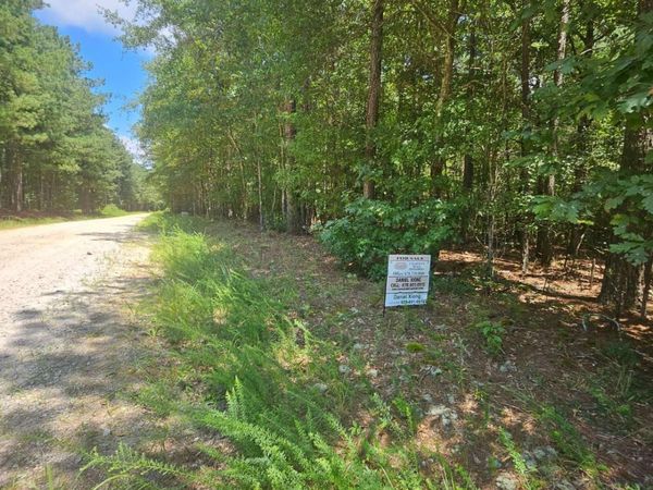 292 Mccannon Rd Tract 3, Carlton, GA 30627