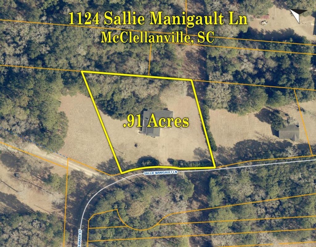 1124 Sallie Manigault Ln  Photo 25