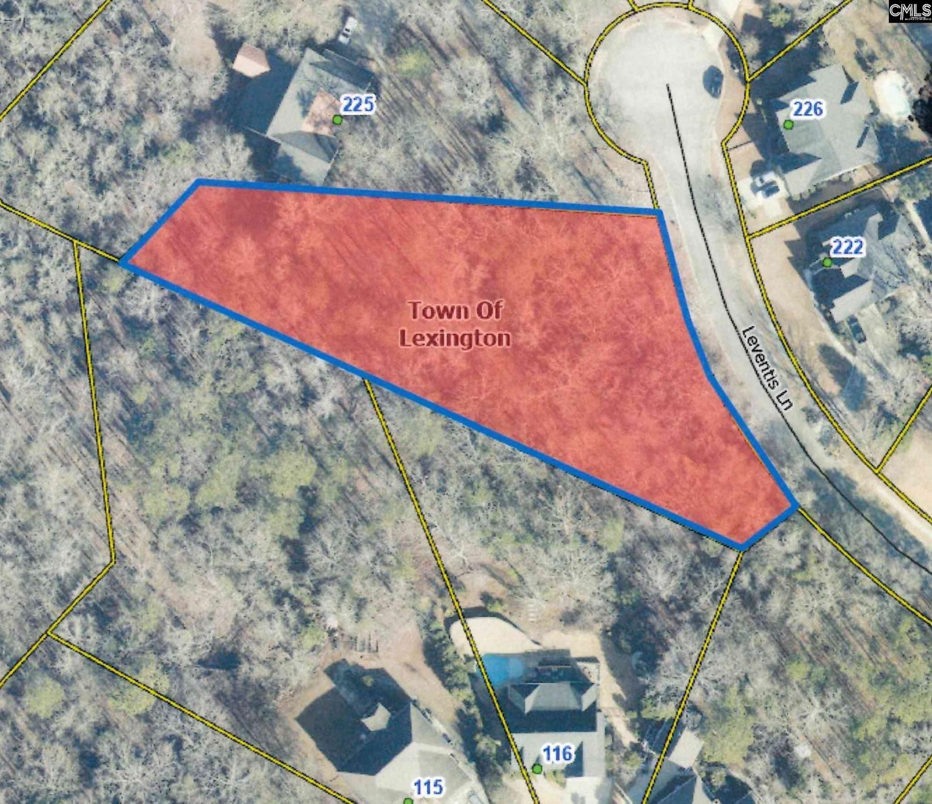 221 Leventis Lane  Photo 10