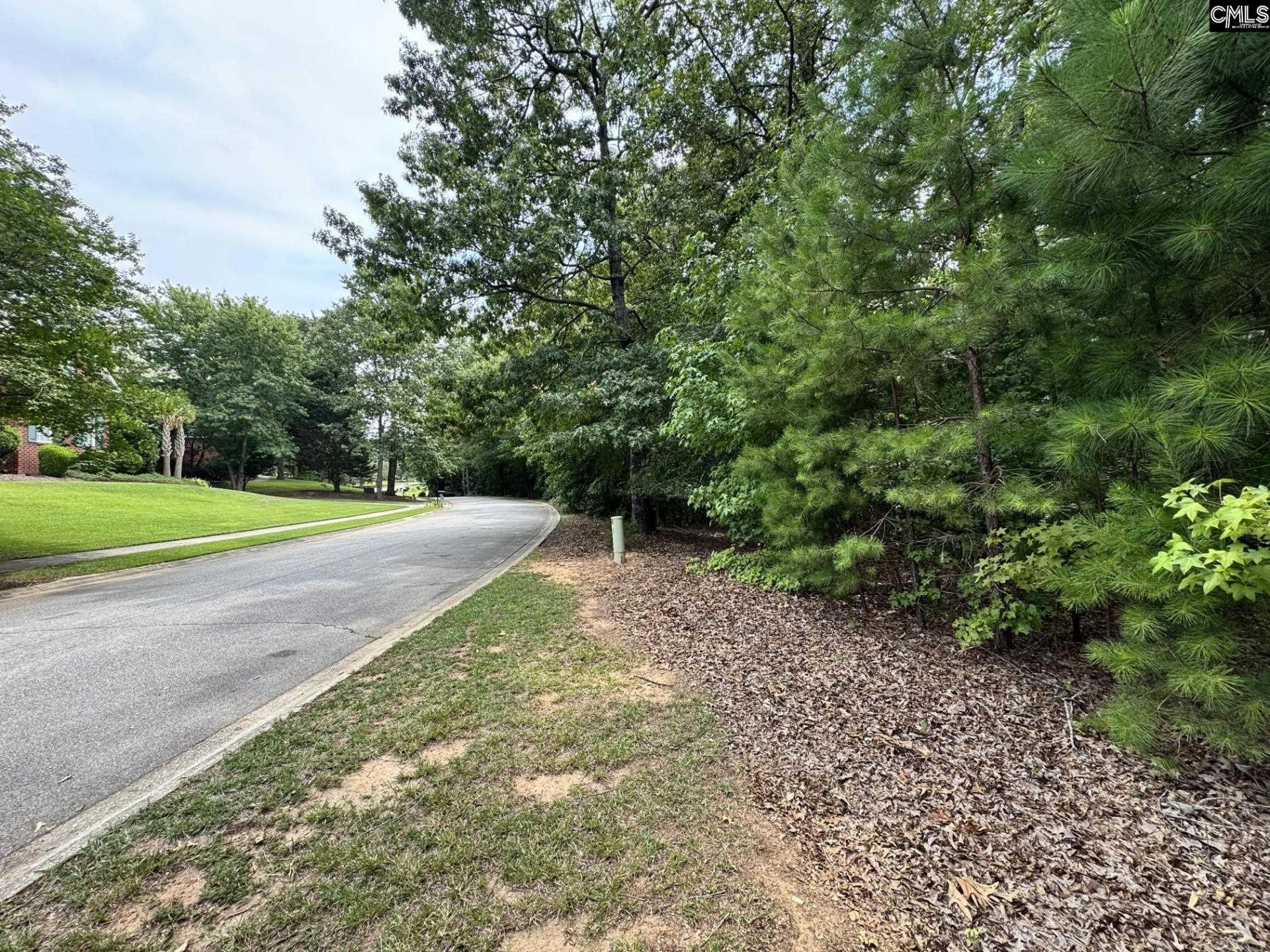221 Leventis Lane  Photo 11