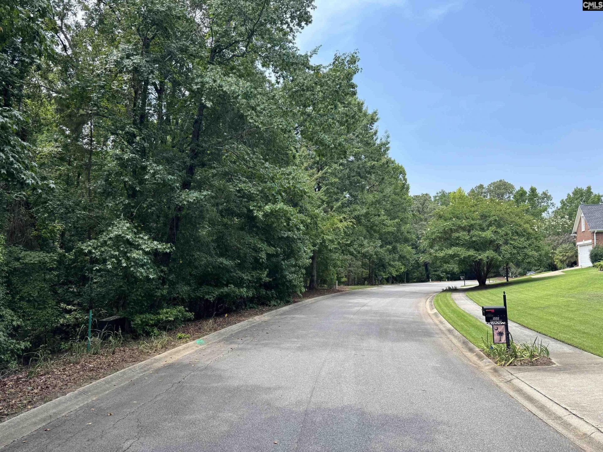 221 Leventis Lane  Photo 12