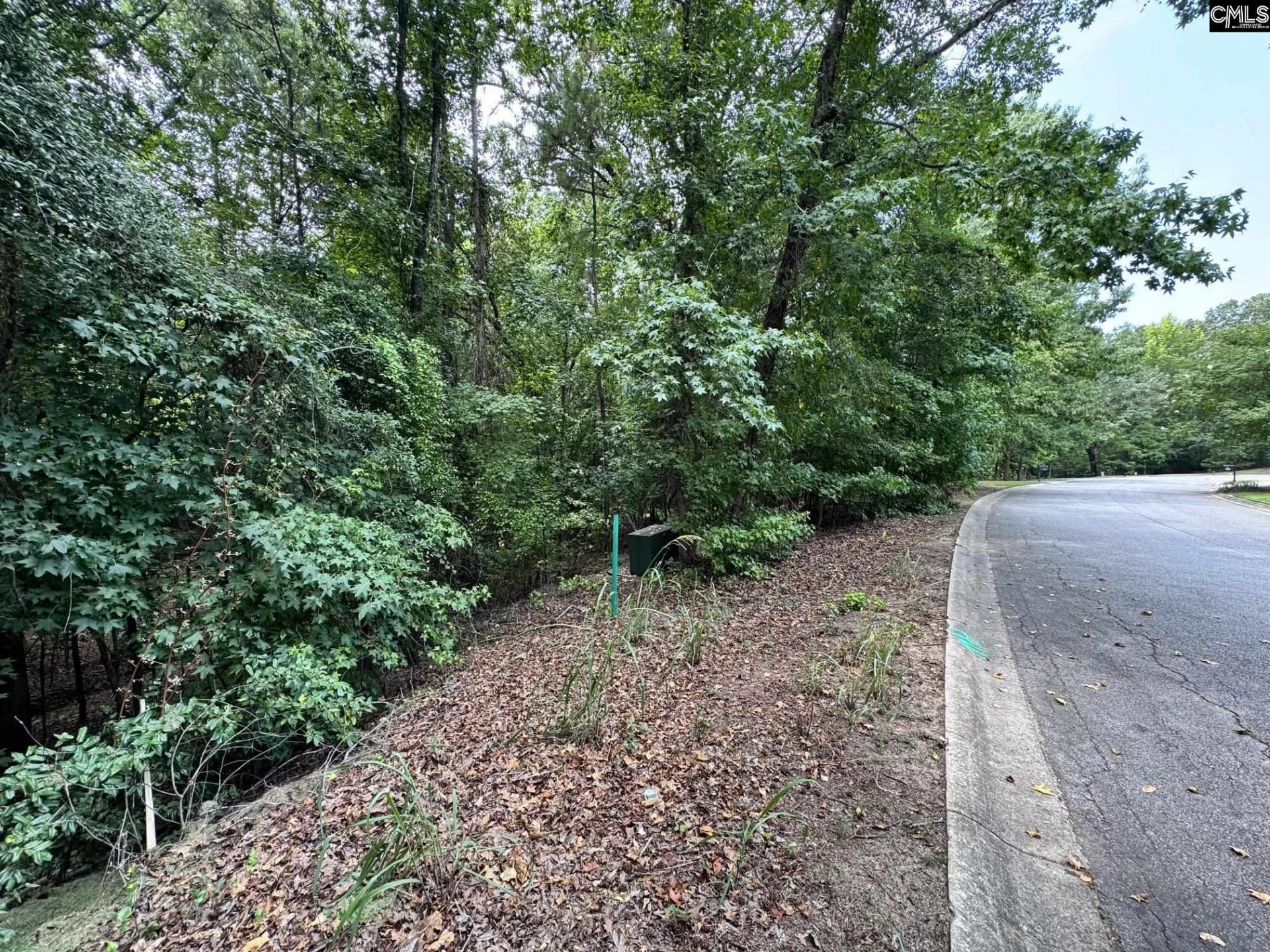 221 Leventis Lane  Photo 13