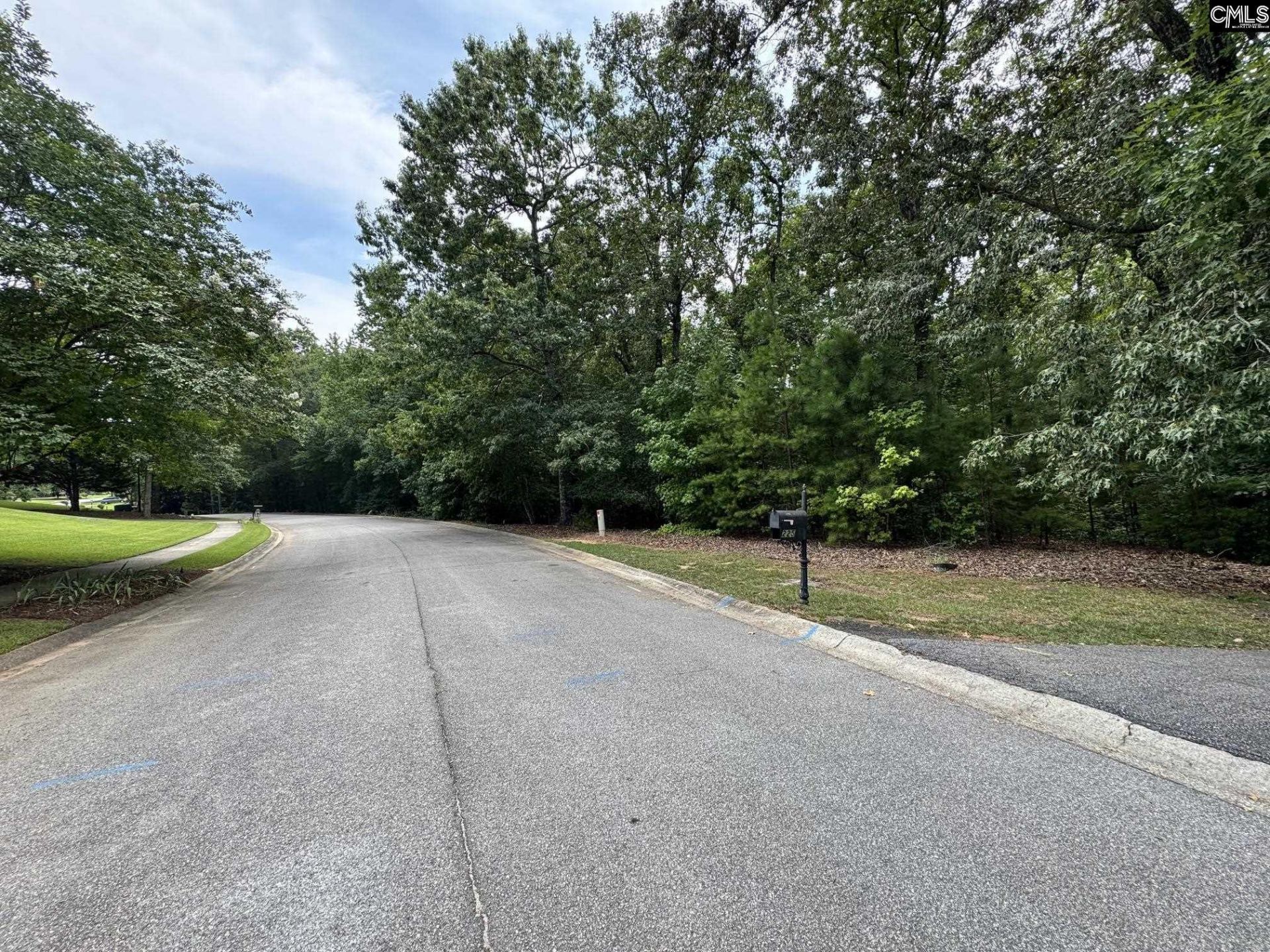 221 Leventis Lane  Photo 14