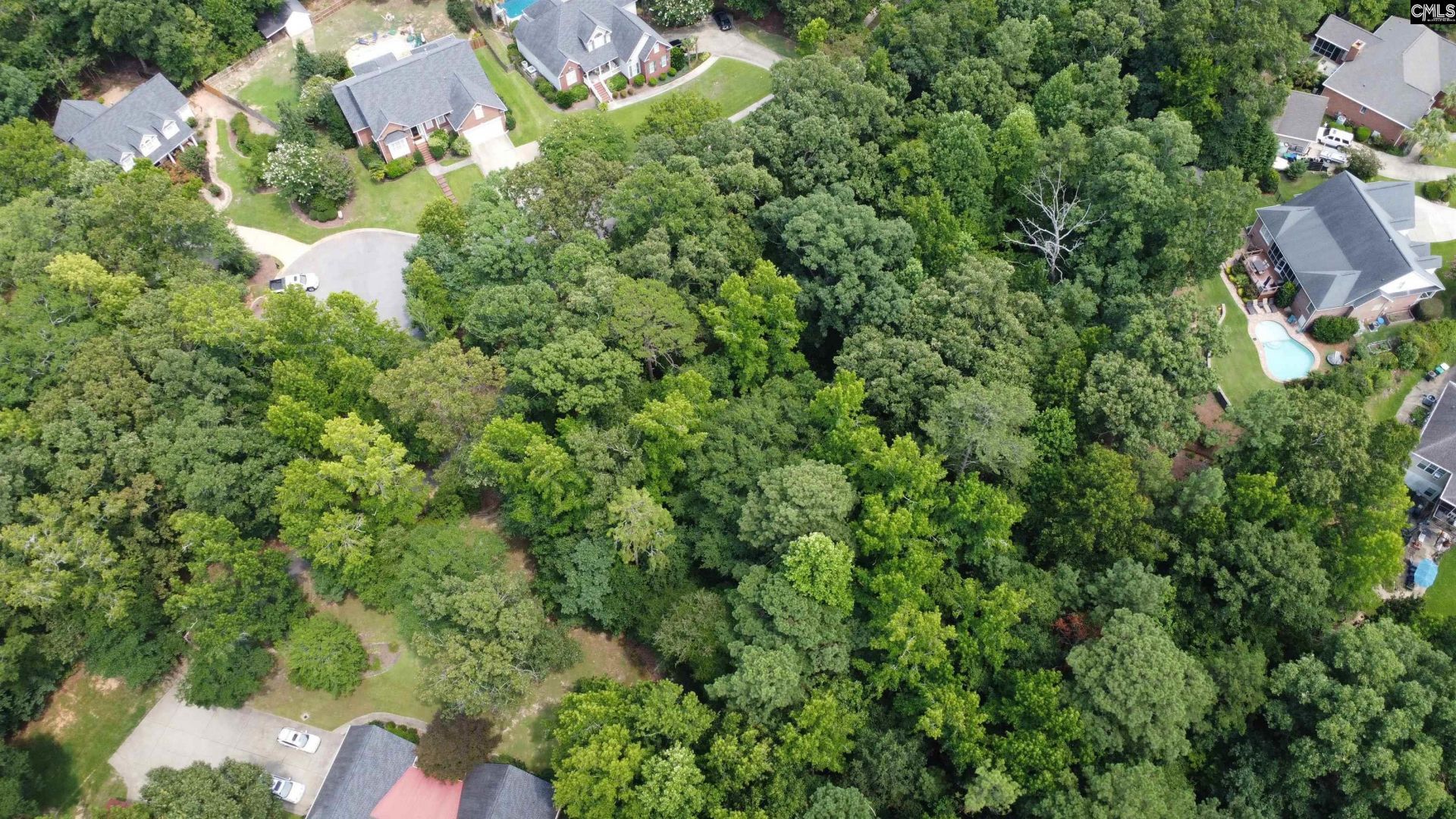 221 Leventis Lane  Photo 8