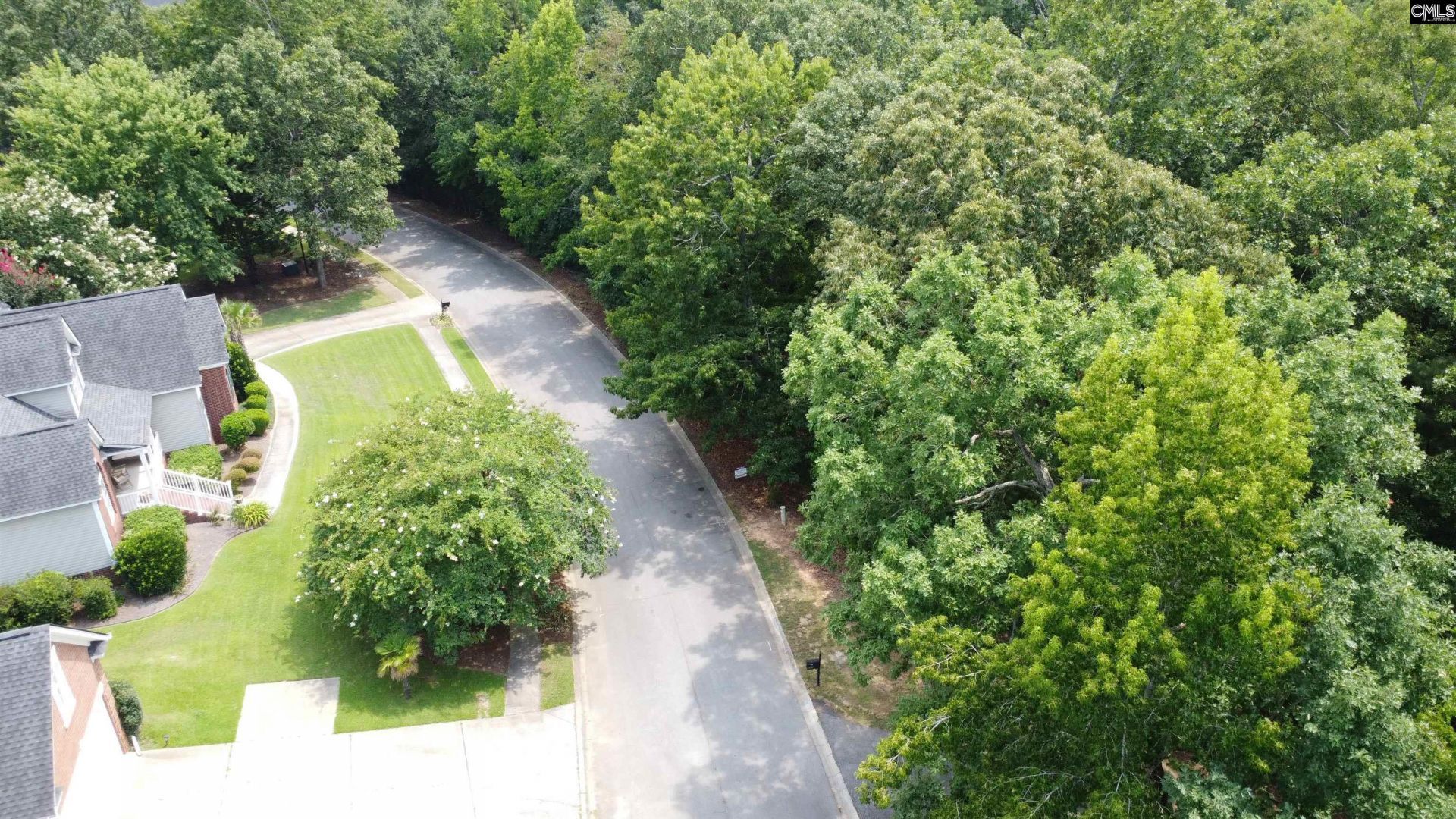 221 Leventis Lane  Photo 9