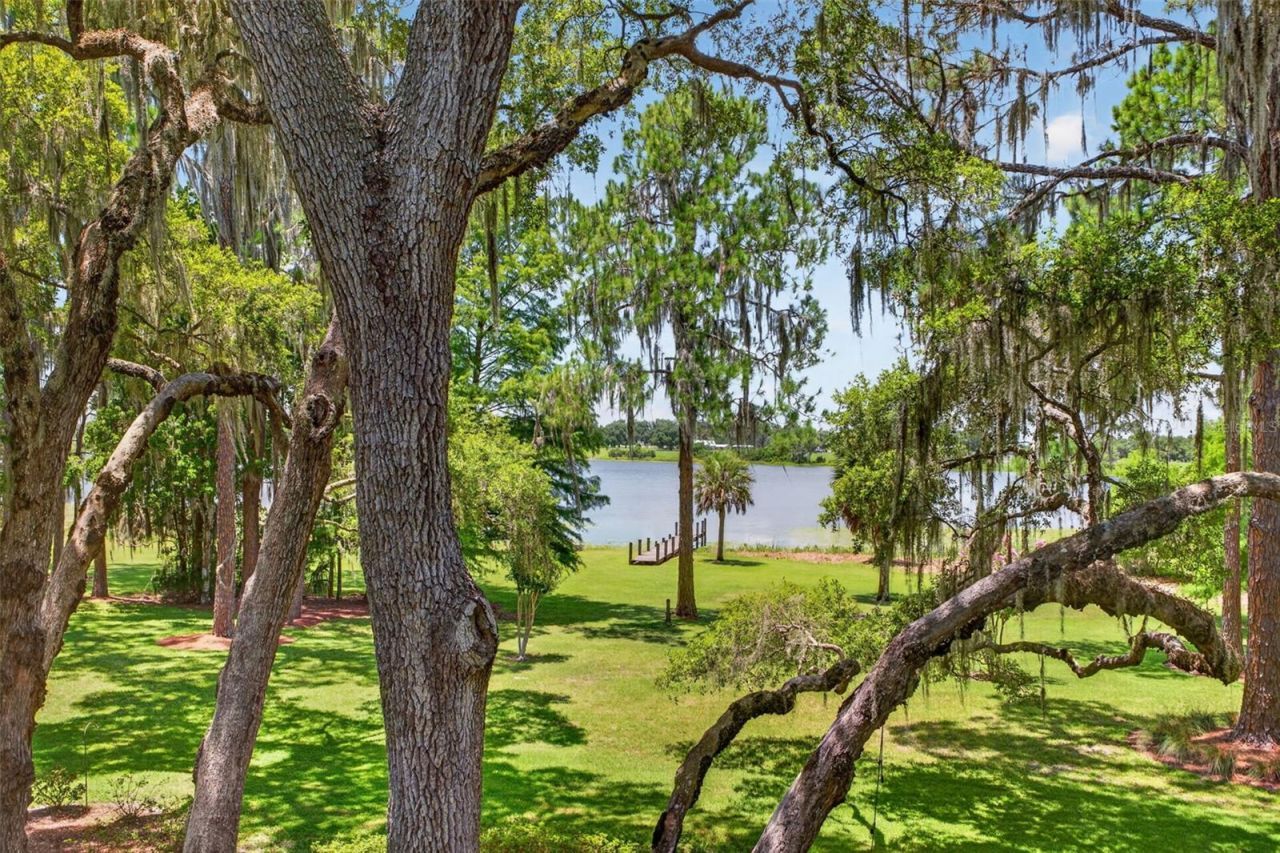 39411 County Road 439, Umatilla, FL 32784 Photo
