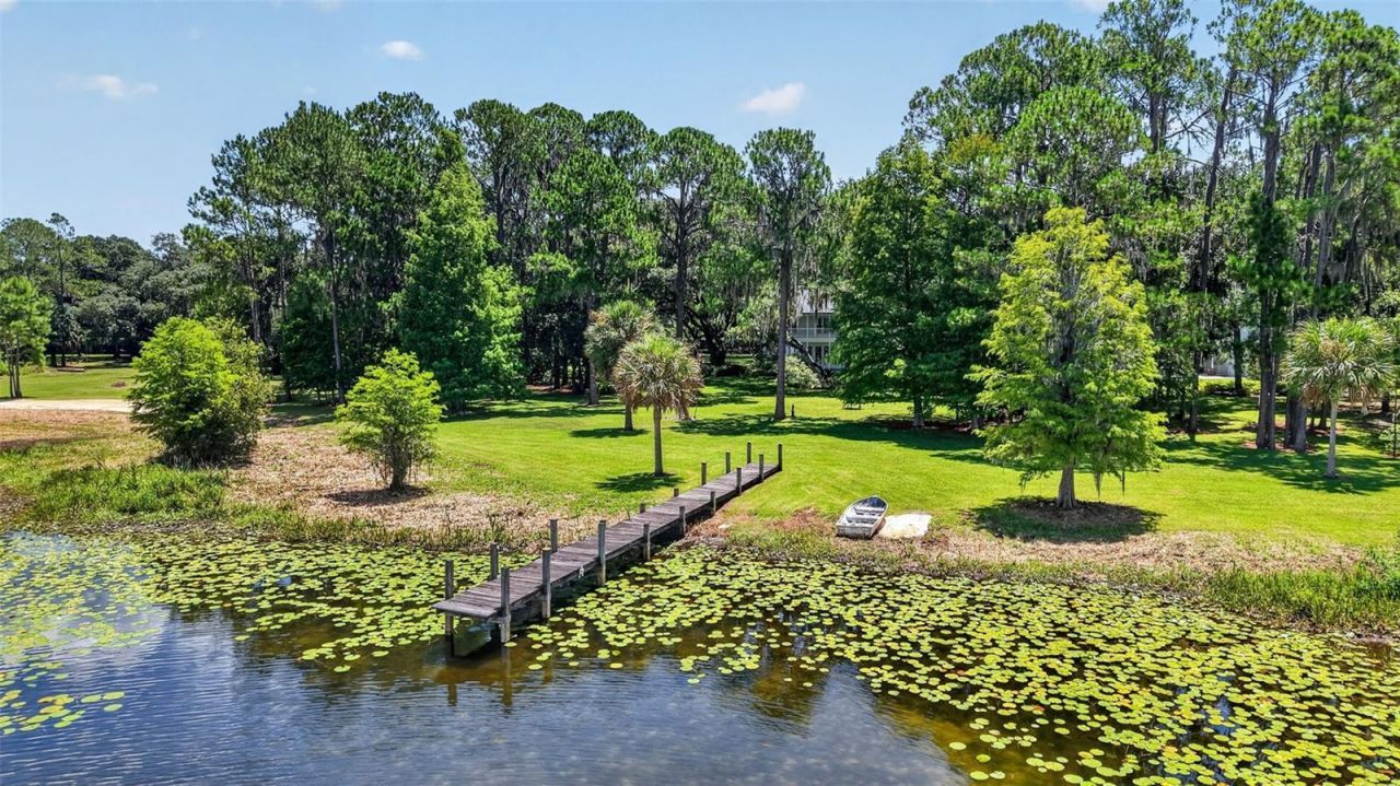 39411 County Road 439, Umatilla, FL 32784 Photo