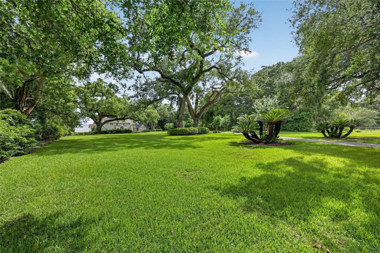 12950 E Highway 25, Ocklawaha, FL 32179 Photo