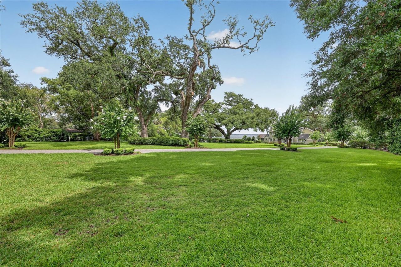 12950 E Highway 25, Ocklawaha, FL 32179 Photo