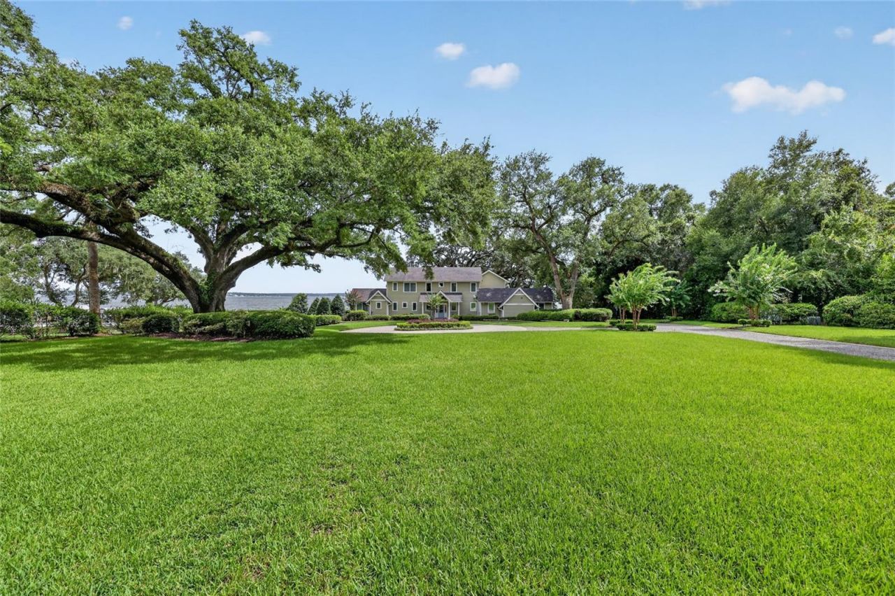 12950 E Highway 25, Ocklawaha, FL 32179 Photo