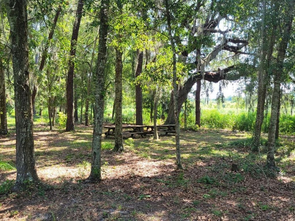 2484 Culbreath Road, Brooksville, FL 34602 Photo