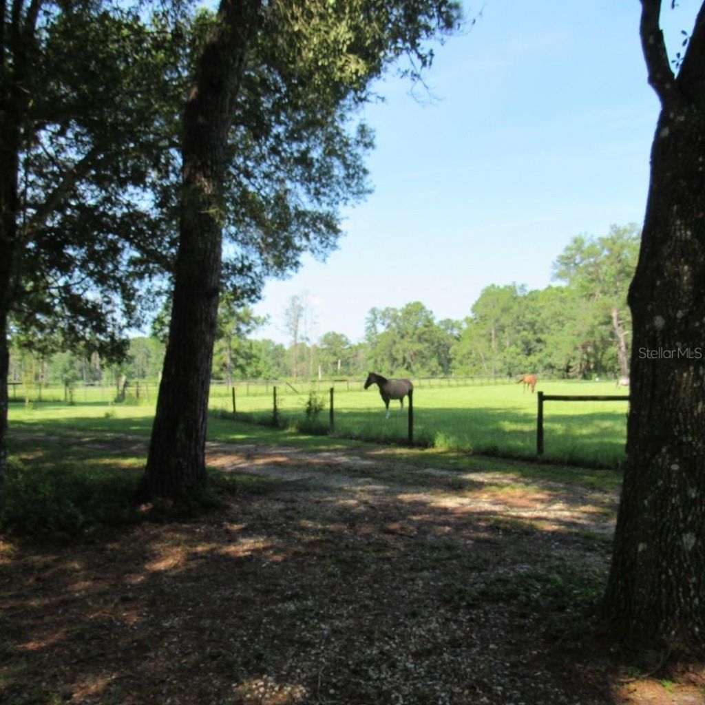 2484 Culbreath Road, Brooksville, FL 34602 Photo