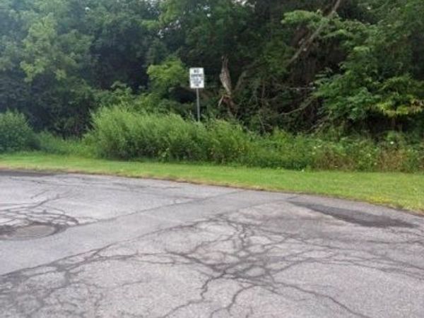 200 Longview Avenue , Syracuse, NY 13209