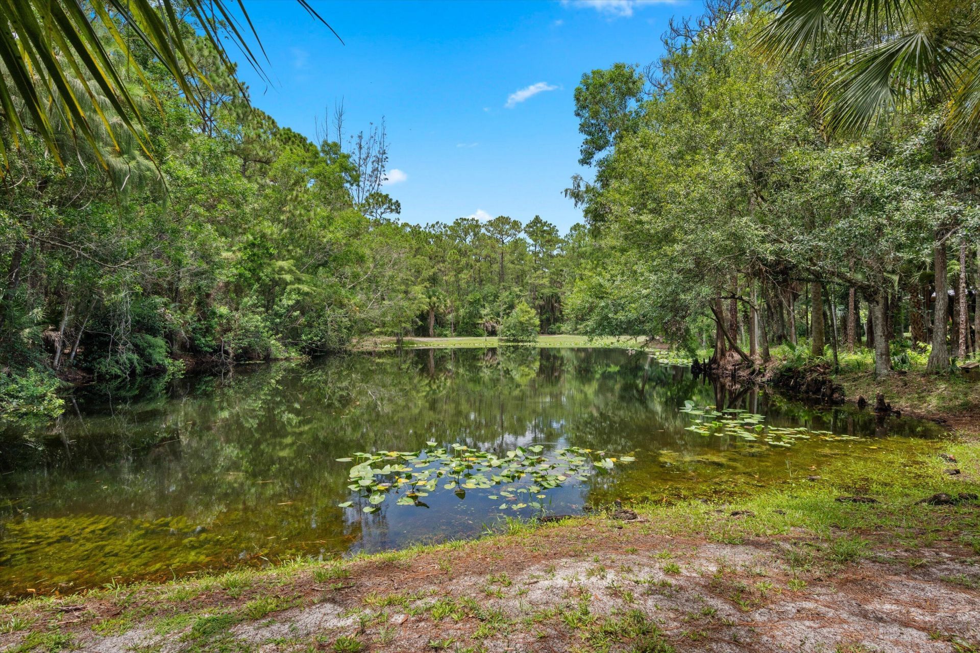 1255 B Road, Loxahatchee Groves, FL 33470 Photo