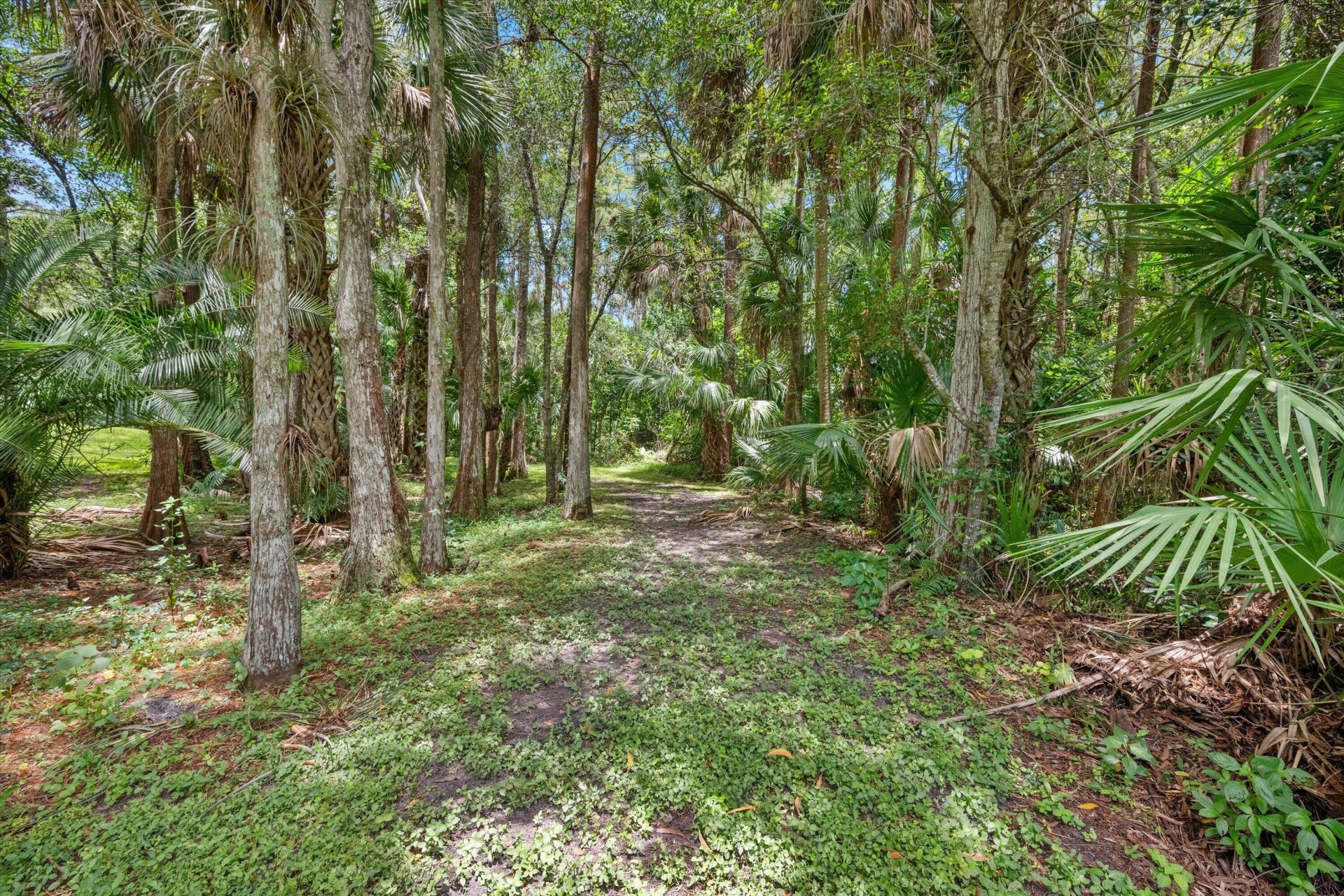 1255 B Road, Loxahatchee Groves, FL 33470 Photo
