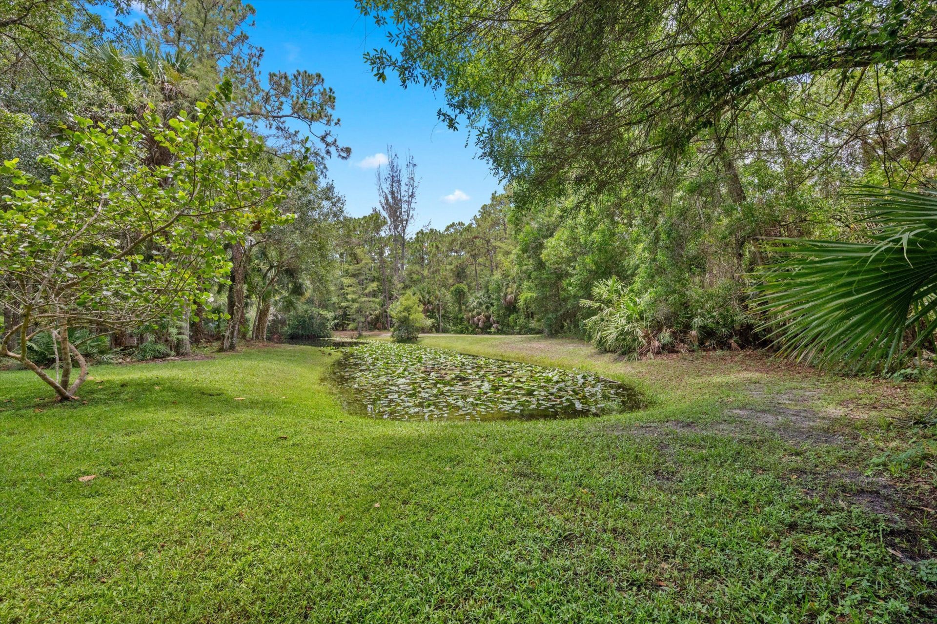 1255 B Road, Loxahatchee Groves, FL 33470 Photo
