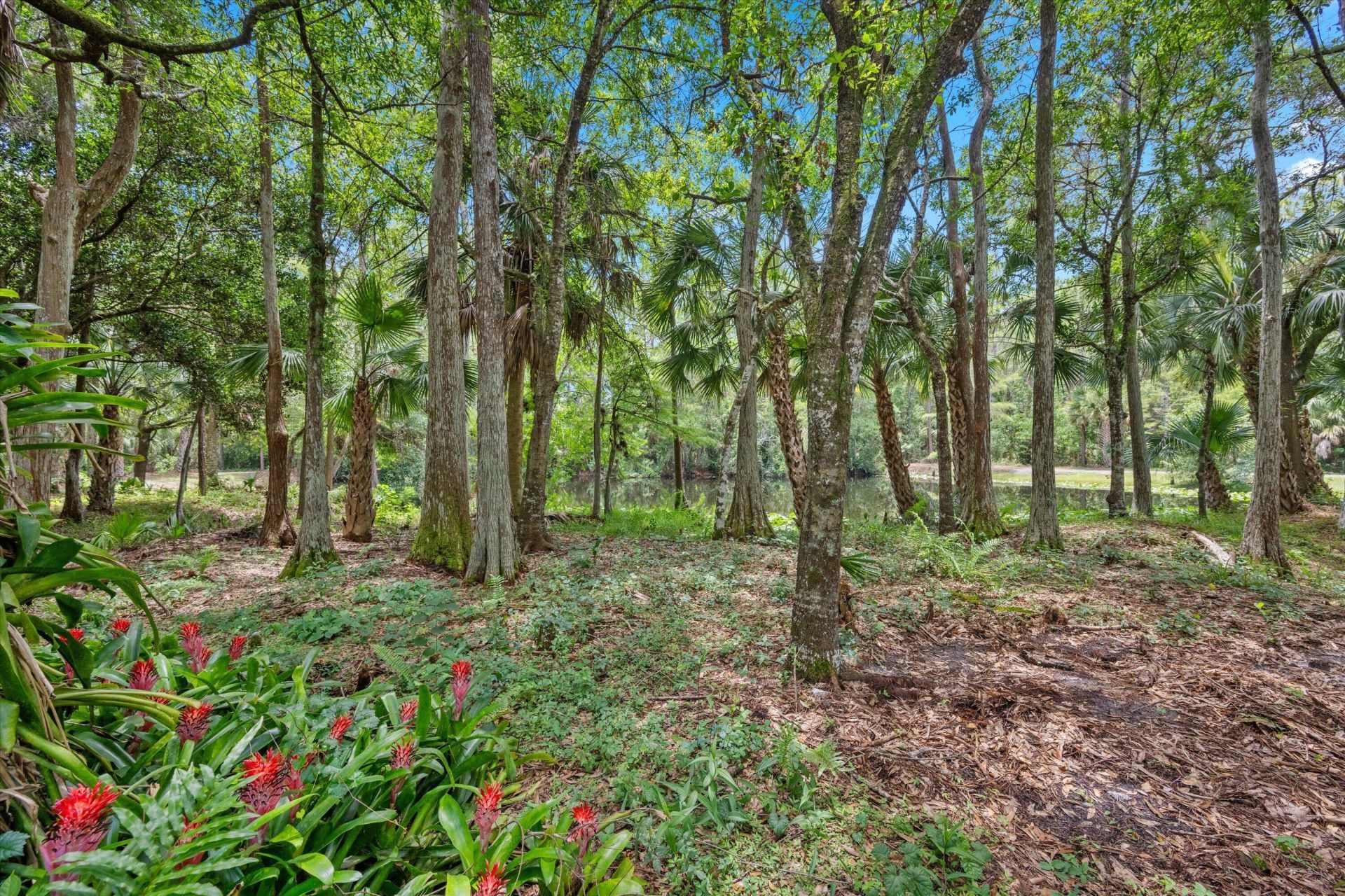 1255 B Road, Loxahatchee Groves, FL 33470 Photo