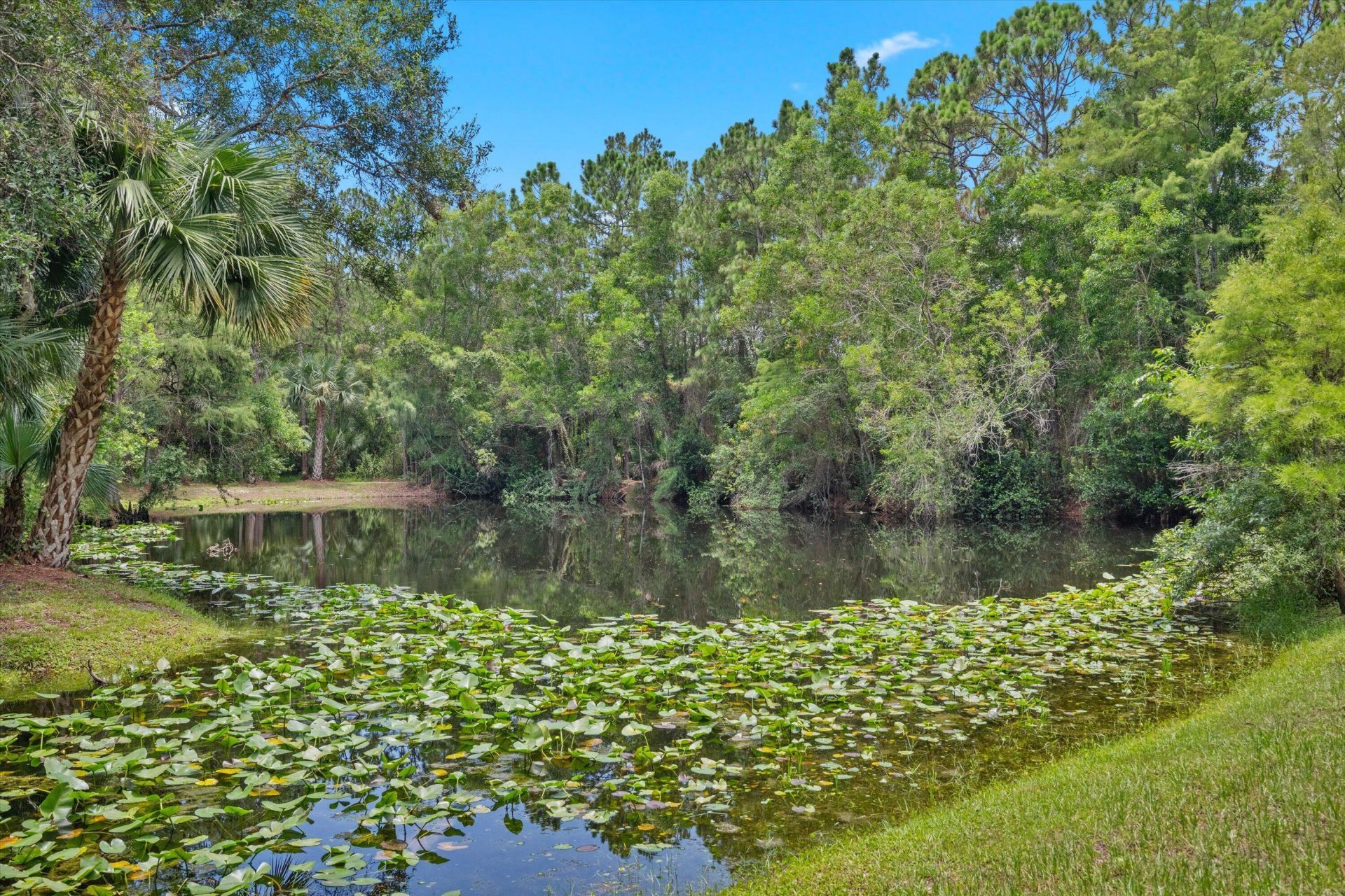 1255 B Road, Loxahatchee Groves, FL 33470 Photo