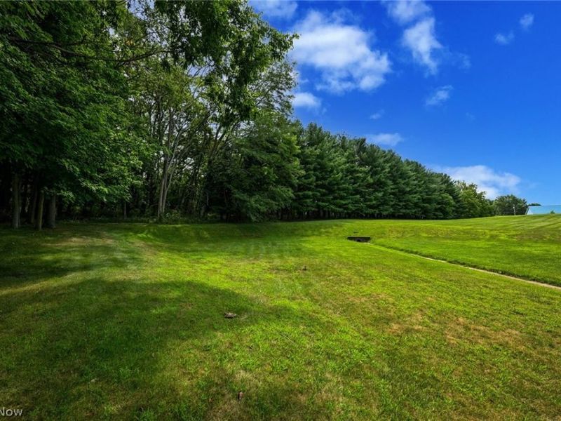 37 W Maple Drive, Seville, OH 44273 Photo 5