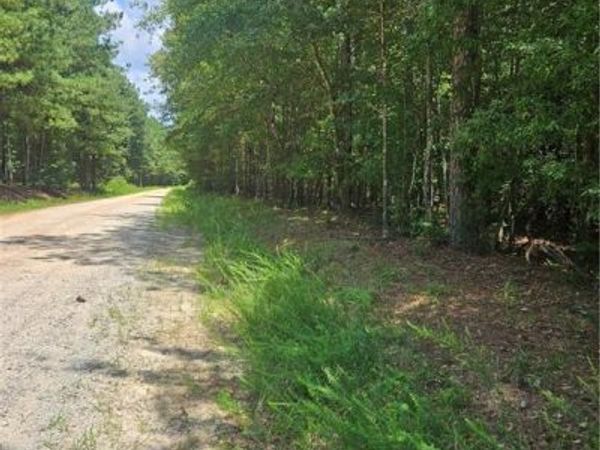 292 Mccannon Tract 3A , Carlton, GA 30627