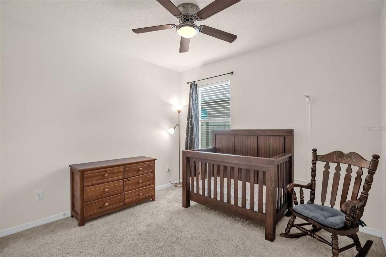 5242 Mahogany Drive, Mount Dora, FL 32757 Photo