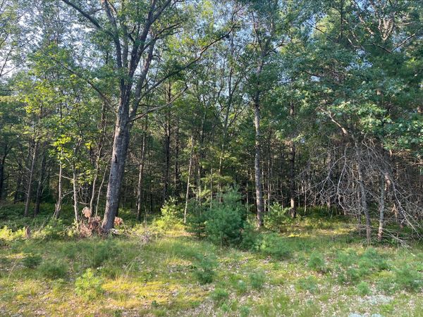 0 MacKenzie Road, Oscoda, MI 48750