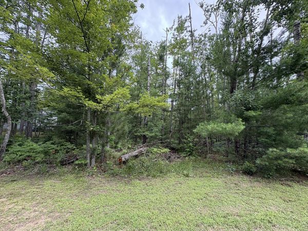 V/L Long Lake Road, Hillman, MI 49746