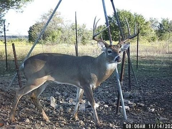 2401 County Road 382, Carlton, TX 76436
