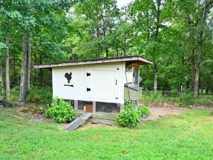 Property Image 62